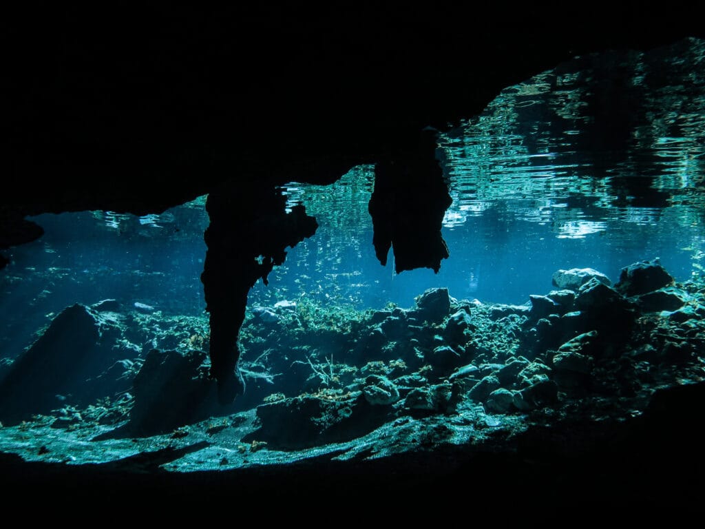 Cenote El Pit and Nicte Ha Diving from Playa del Carmen