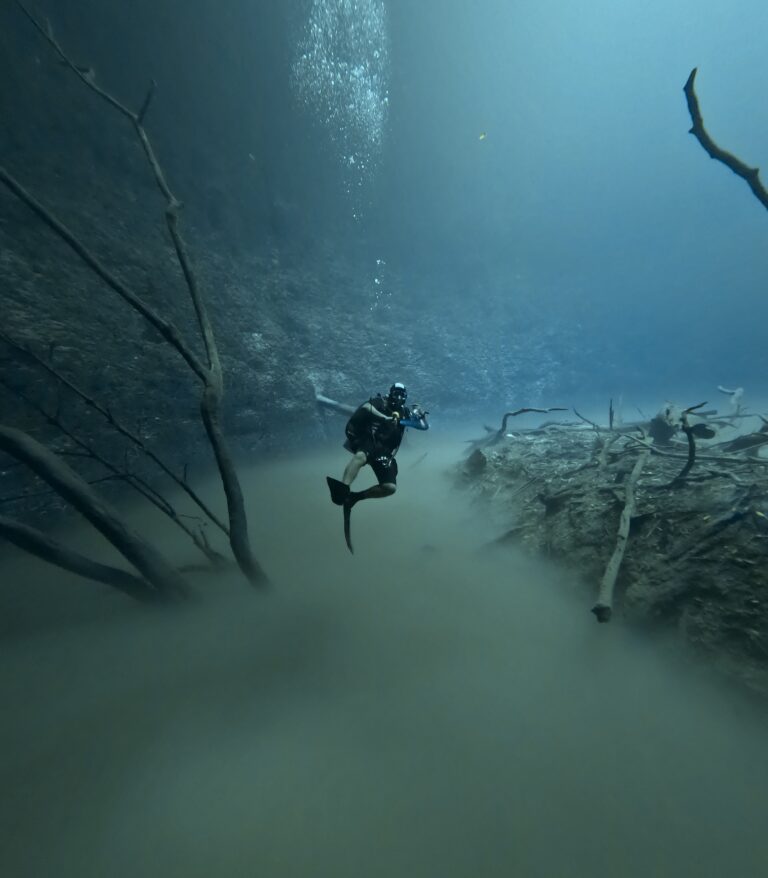 Cenote Angelita and Carwash Diving from Playa del Carmen