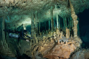 Cenote Dream Gate