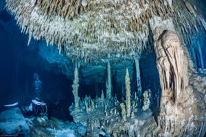 Cenote Dream Gate