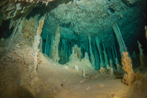 Cenote Dream Gate