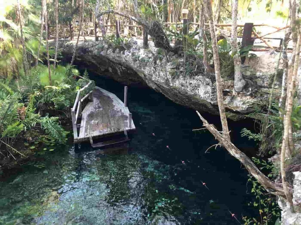 Cenote El Pit and Nicte Ha Diving from Playa del Carmen
