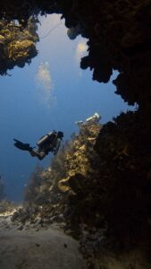 Cozumel Diving