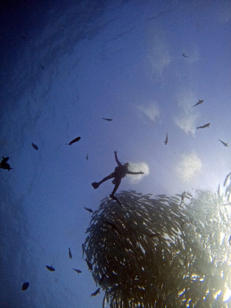 Diving Mahahual