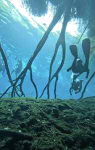 Cenote Car Wash