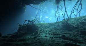 Cenote Car Wash