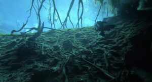 Cenote Car Wash