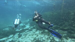 Cenote Car Wash