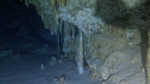 Cenote Dos Ojos