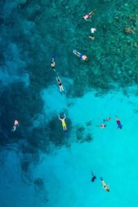 Playa del Carmen Snorkel