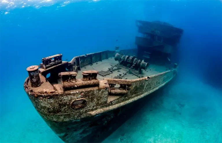 Puerto Morelos Diving from Playa del Carmen – C-56 Wreck and Reef