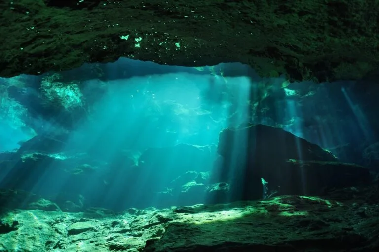 Cenote Diving