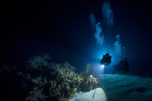 Night Dive Playa del Carmen