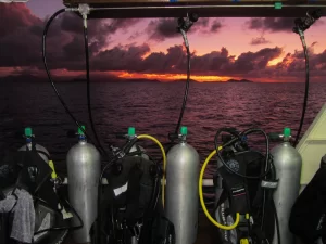 On the boat to the night dive