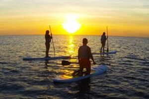 Group Paddle boarding playa del carmen