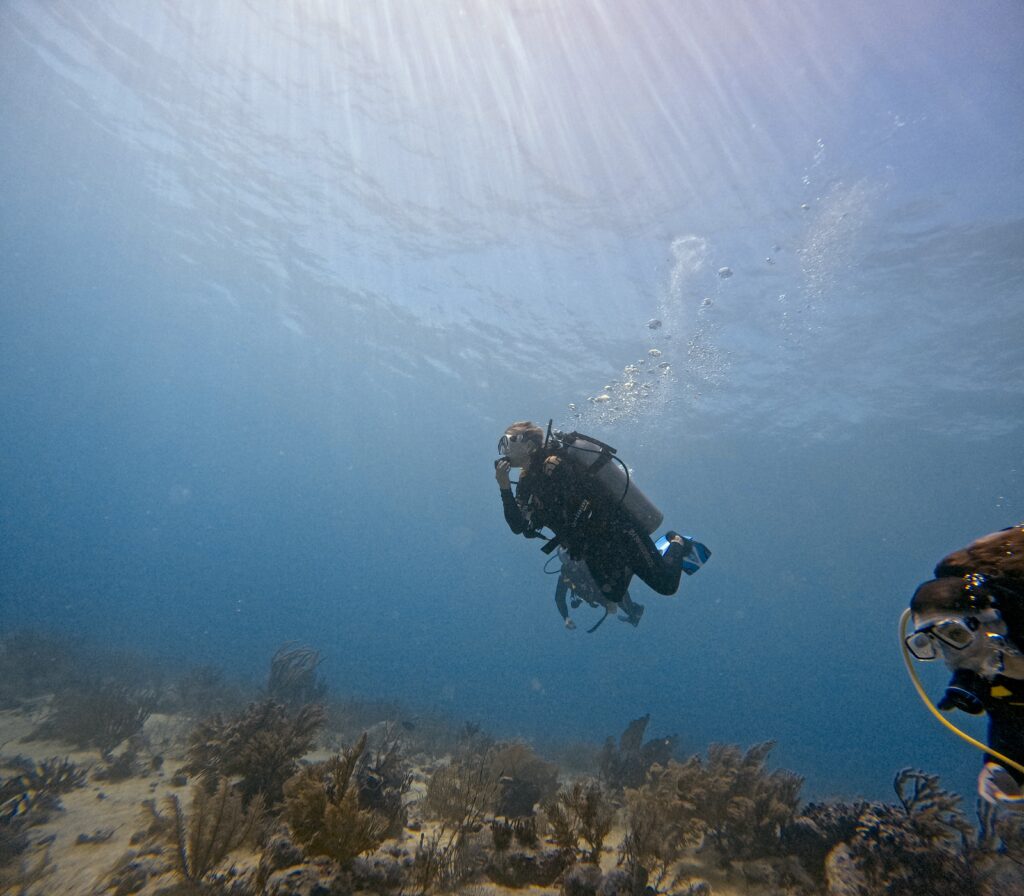 Playa del Carmen