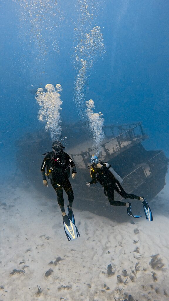 Mama Viña Wreck