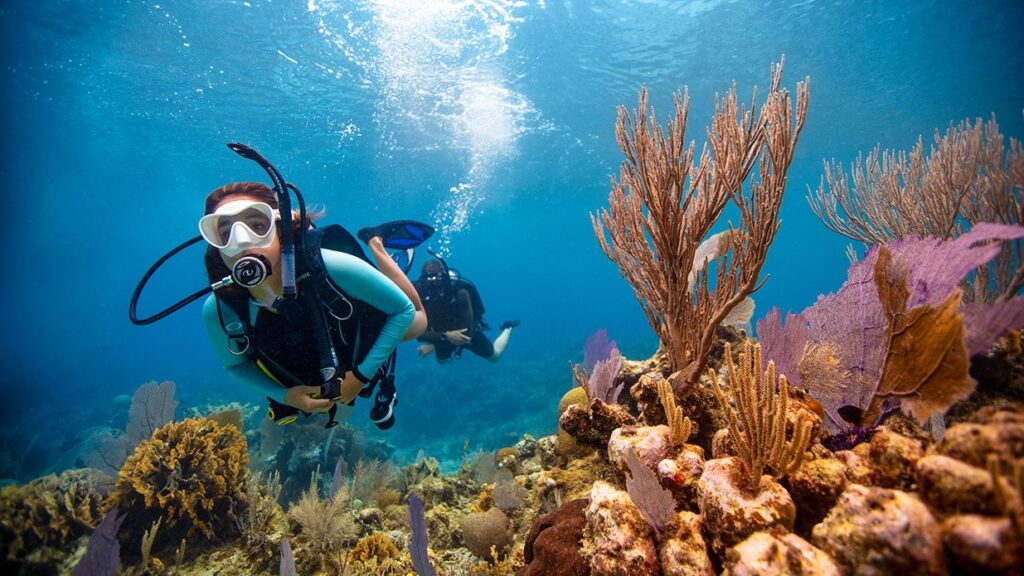 Diver open water course in Playa del Carmen