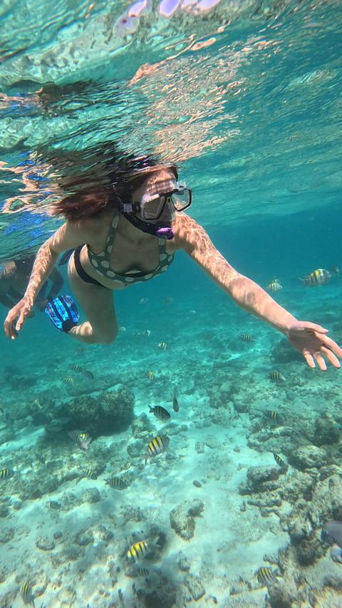 Playa del Carmen Snorkel