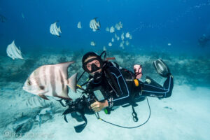 Underwater-Photography