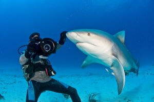 Underwater-Photography