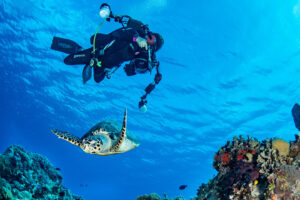 Underwater-Videography