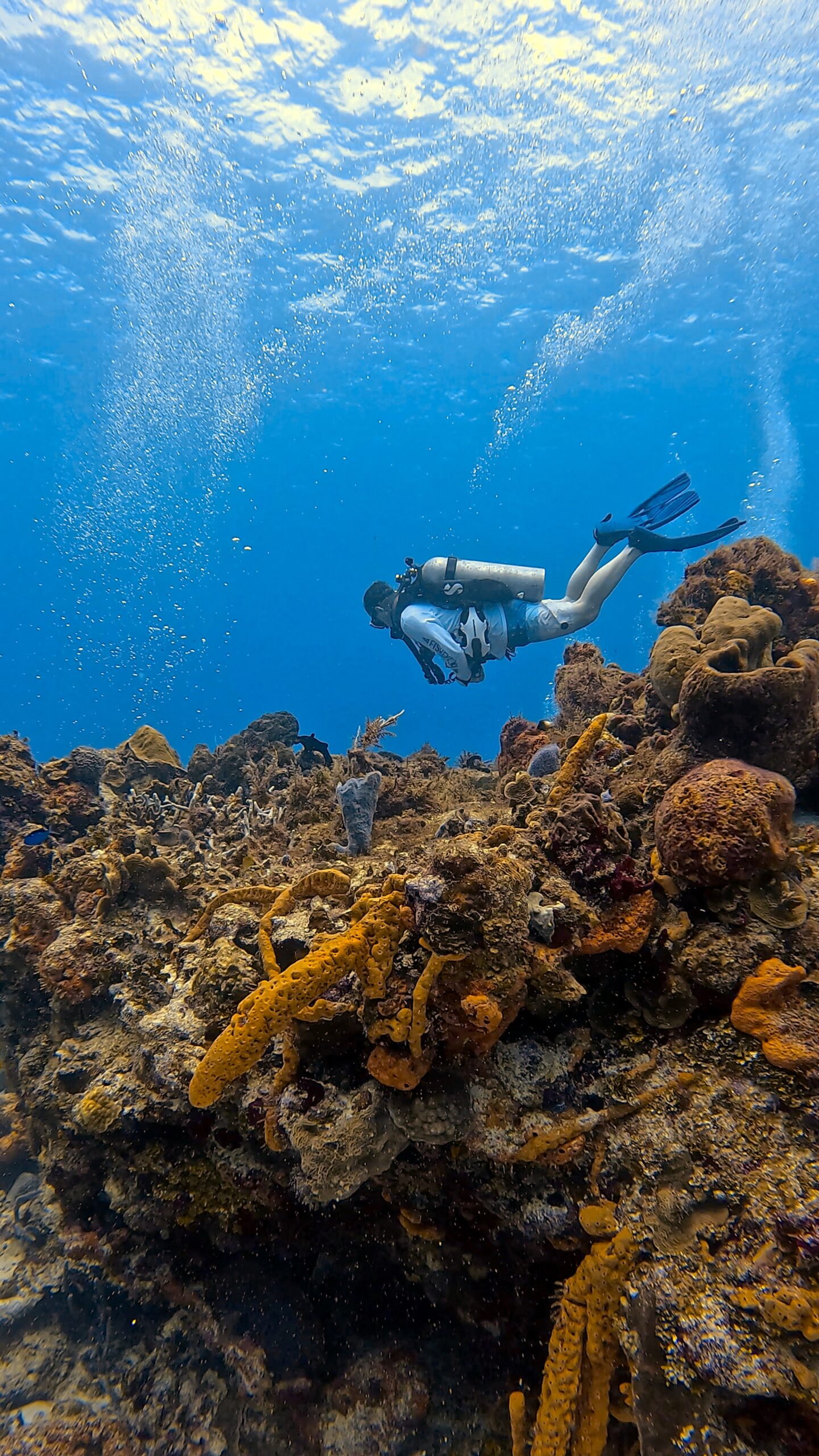 Cozumel Scuba Diving