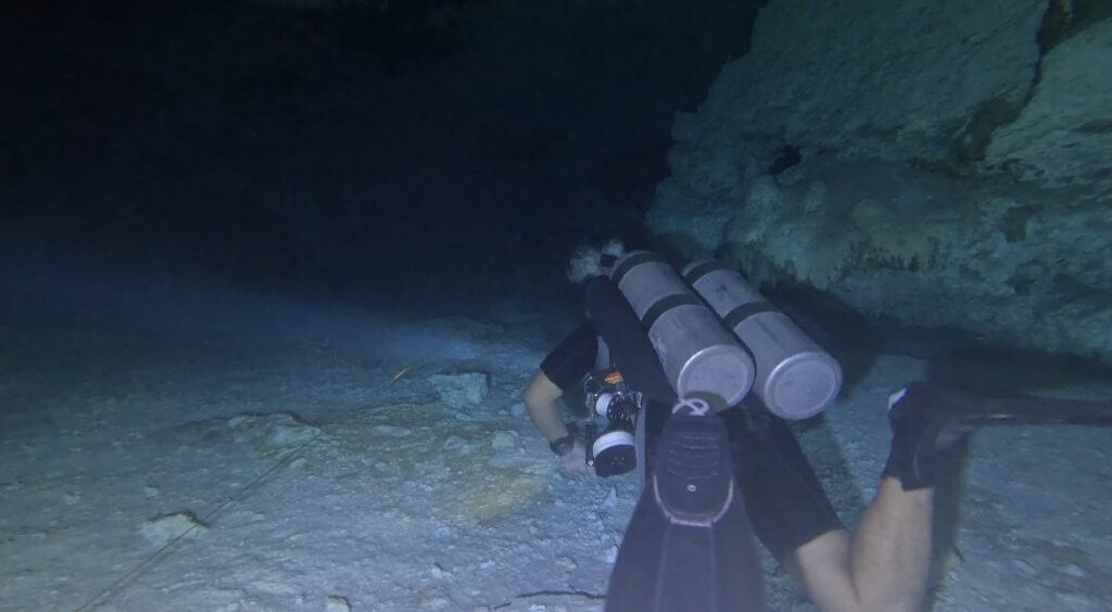 Cenote El Pit and Dos Ojos Diving from Playa del Carmen
