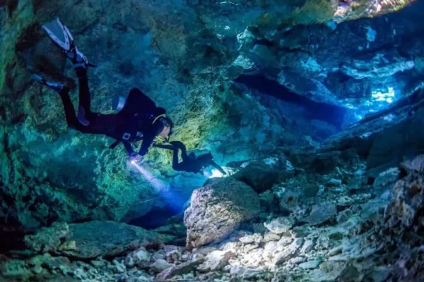 Diving in Cenotes