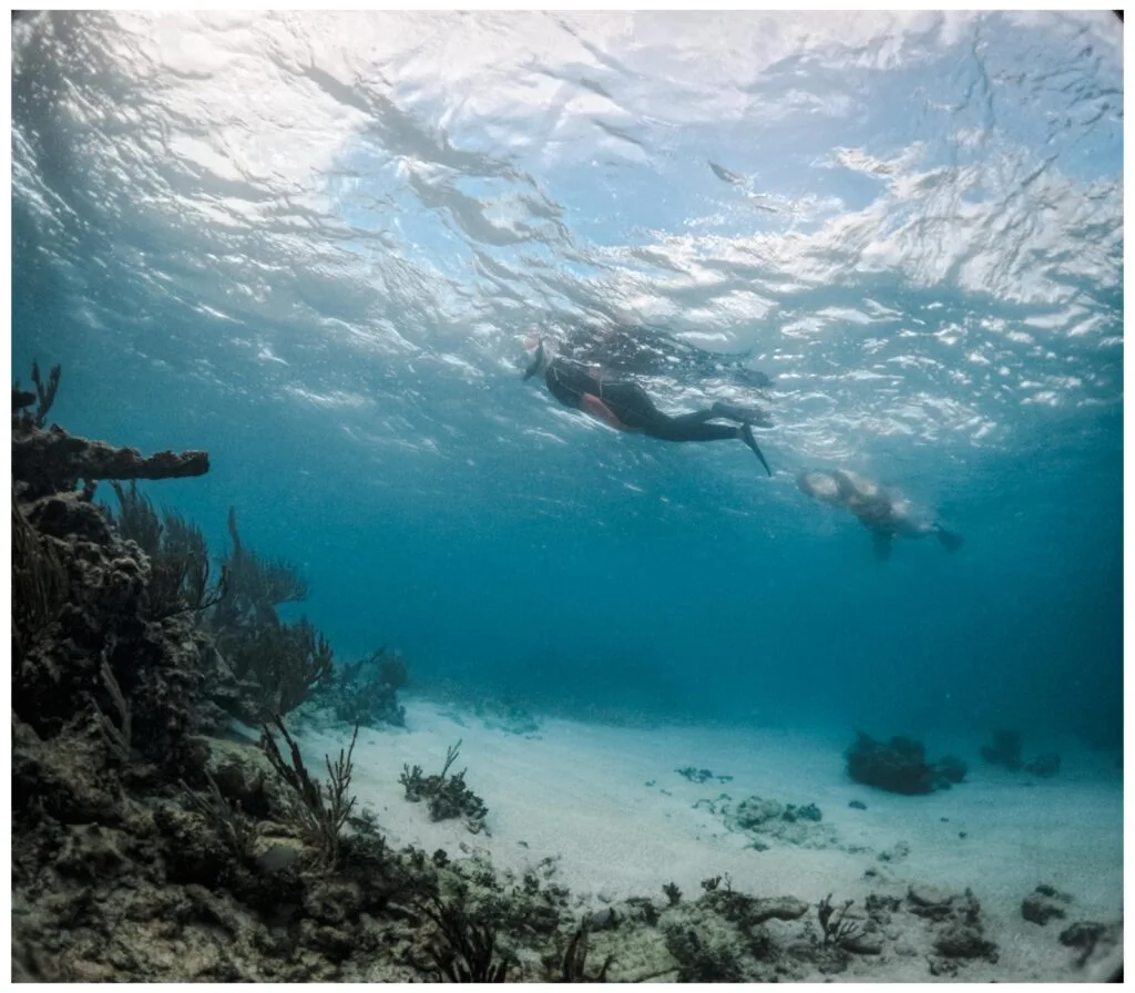 Snorkeling on the Full Adventure Discovery tour
