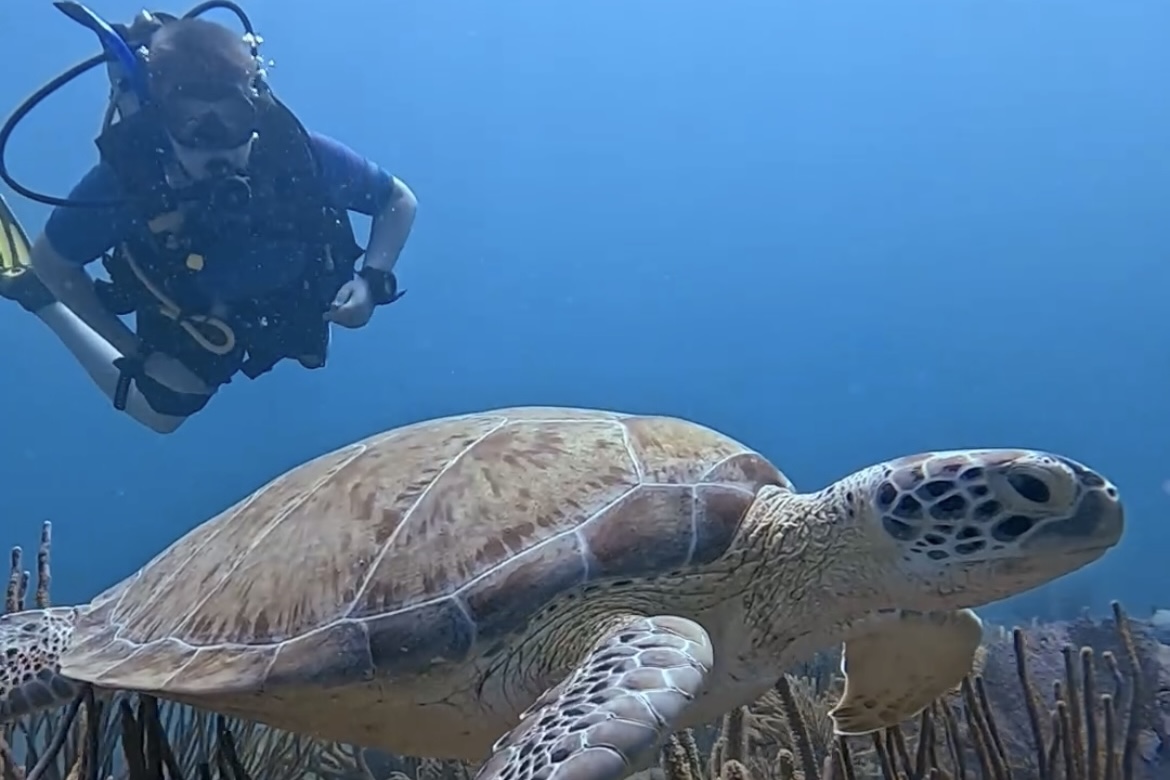 PADI AWARE