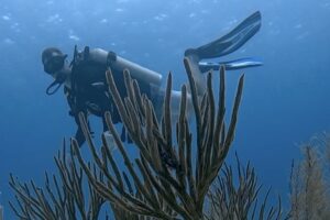 PADI AWARE