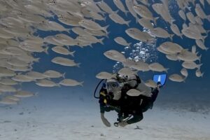 Advanced Open Water Course Playa del Carmen