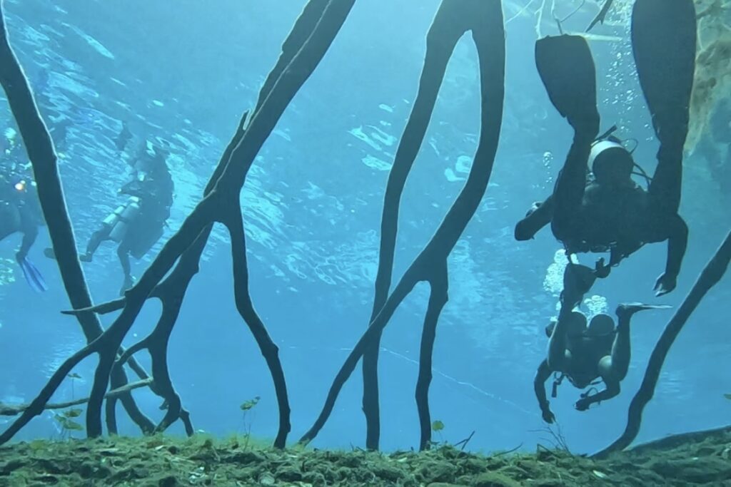 Diving Cenote Car Wash