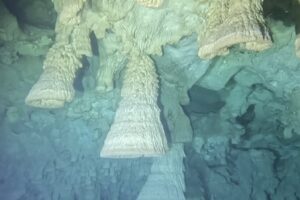 Diving Cenote Zapote