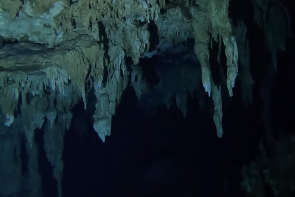 Diving Cenote Dos Ojos