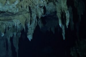 Diving Cenote Dos Ojos