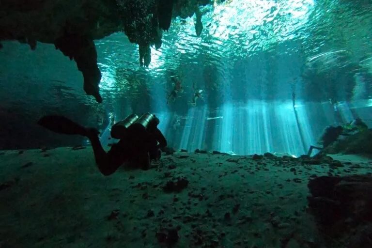 Cenote Dos Ojos Diving from Playa del Carmen