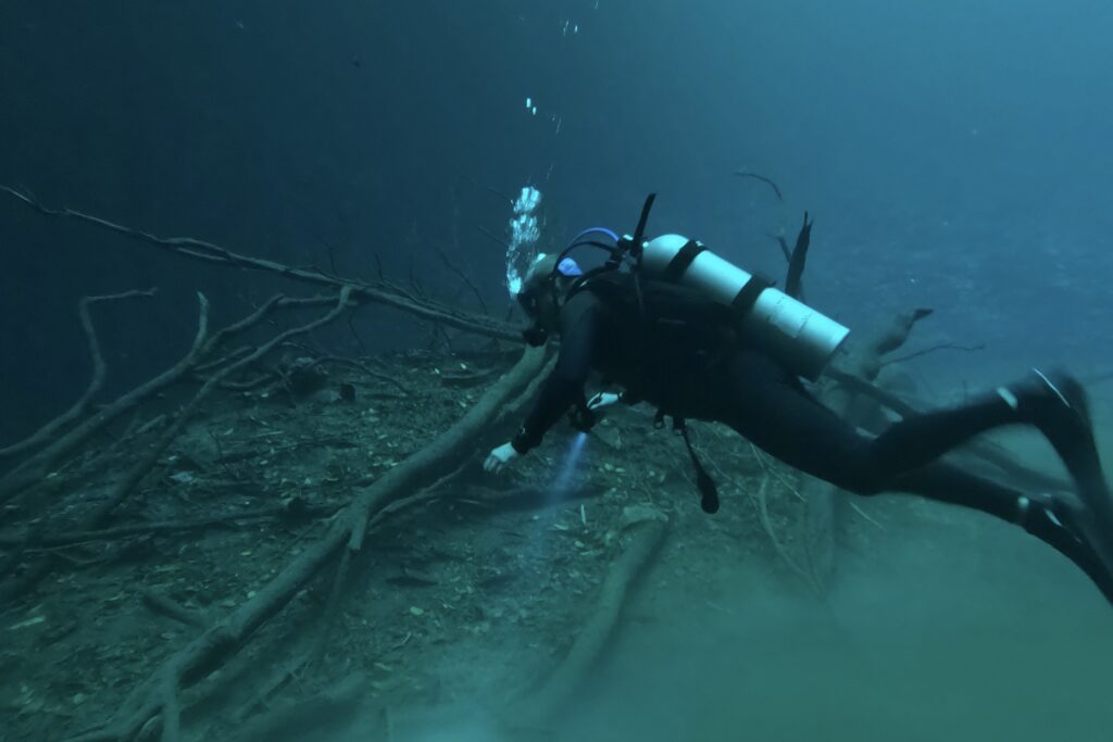 Diving Cenote Angelita