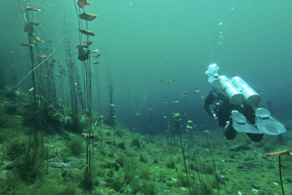 Diving Cenote Car Wash