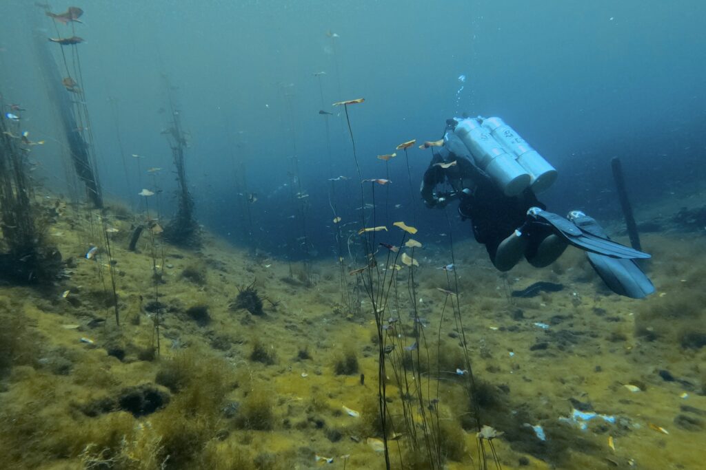 Diving Cenote Car Wash