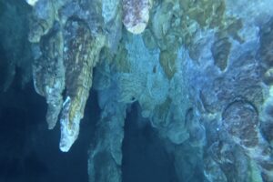 Diving Cenote Car Wash