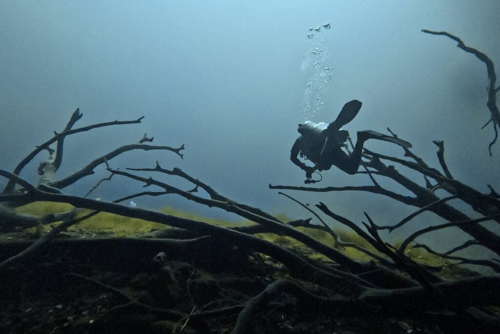 Diving Cenote Car Wash