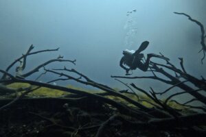 Diving Cenote Car Wash