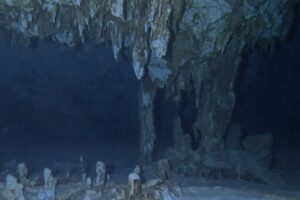 Diving Cenote Dos Ojos