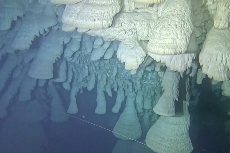 Diving Cenote Zapote