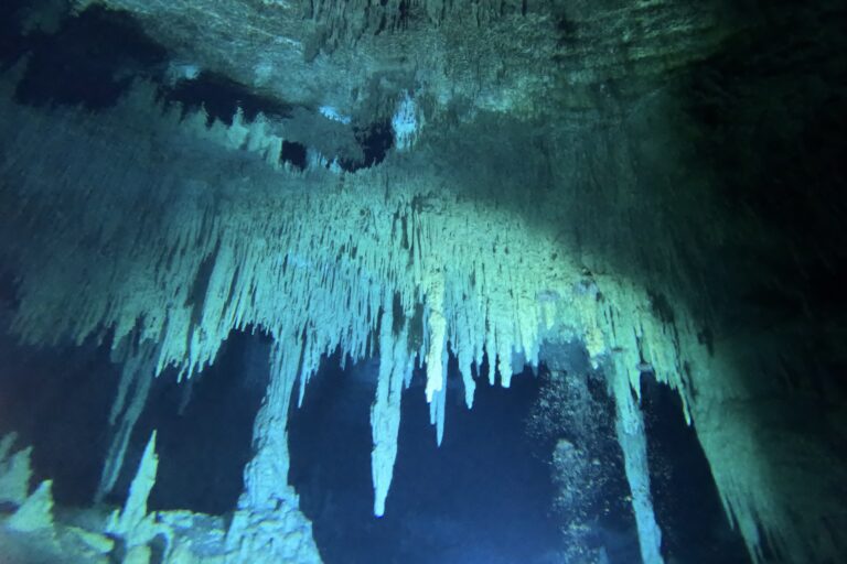 Diving Cenote Nohoch