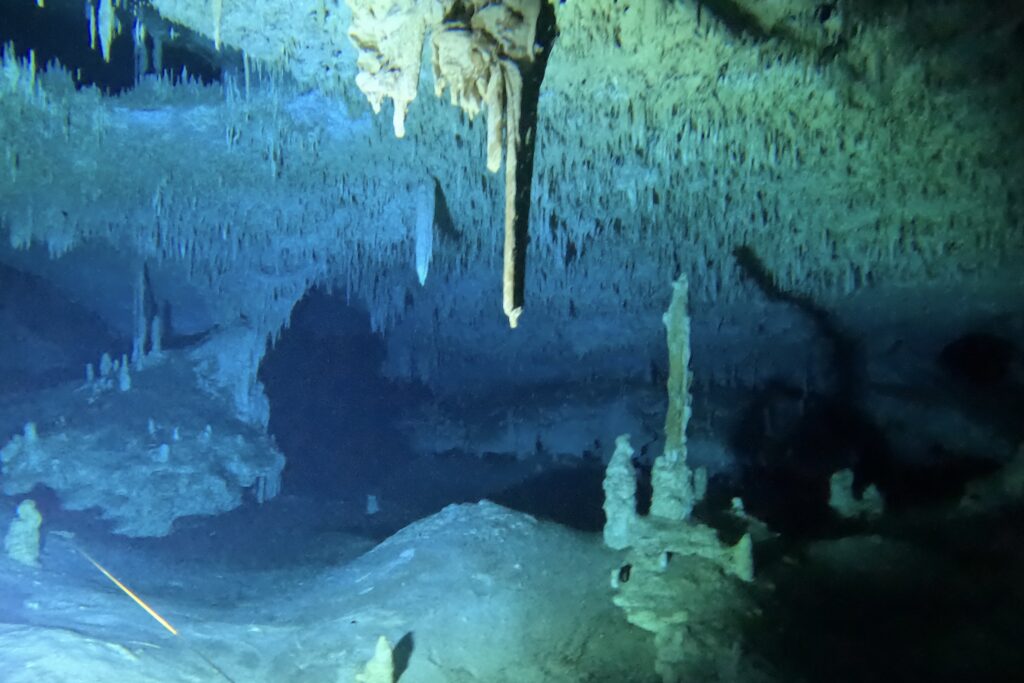 Diving Cenote Nohoch