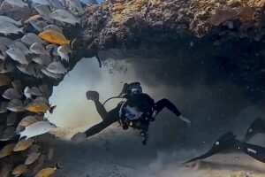 Discovery Scuba Playa del Carmen