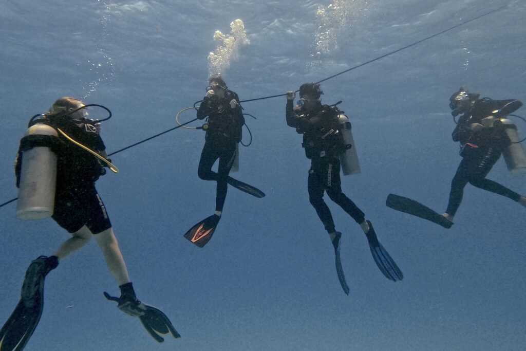 Dive Master Playa del Carmen